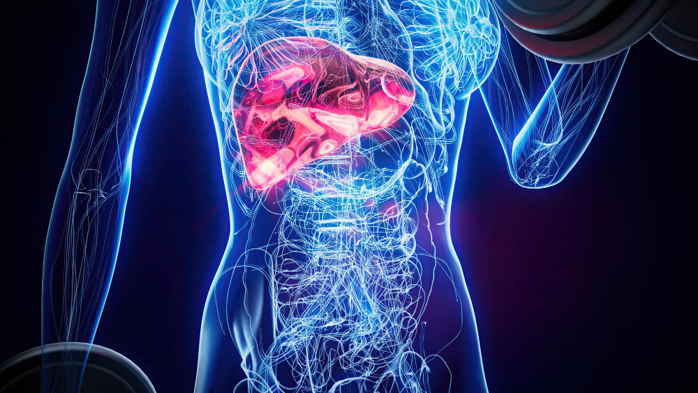 fatty liver disease symptoms causes stages prevention
